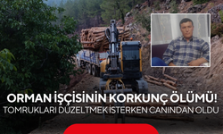 Orman işçisinin korkunç ölümü! Tomrukları düzeltmek isterken canından oldu