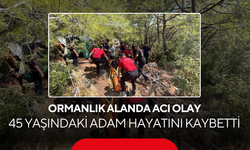 Ormanlık alanda acı olay ! 45 yaşındaki adam hayatını kaybetti