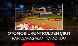 Otomobil kontrolden çıktı, park savaş alanına döndü! Ağacı ikiye böldü