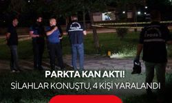 Parkta kan aktı! Silahlar konuştu, 4 kişi yaralandı