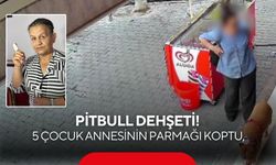 Pitbull dehşeti! 5 çocuk annesinin parmağı koptu, sokağa çıkamaz oldu