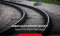 Raylarda yardım etmek isterken canından oldu