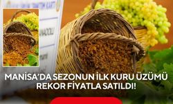 Manisa'da İlk kuru üzüm 4 bin TL'den satıldı, üretici asıl fiyatı bekliyor