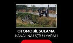 Otomobil sulama kanalına uçtu: 1 yaralı