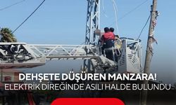 Sabah saatlerinde dehşete düşüren manzara! Elektrik direğinde asılı halde bulundu