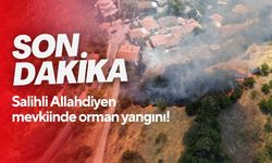 Son Dakika! Salihli Allahdiyen mevkiinde orman yangını!
