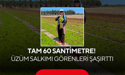 Tam 60 santimetre! Üzüm salkımı görenleri şaşırttı