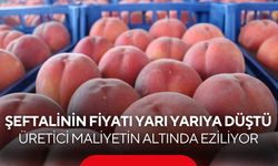 Şeftalinin fiyatı yarı yarıya düştü! Üretici maliyetin altında eziliyor