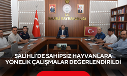 Salihli’de sahipsiz hayvanlara yönelik çalışmalar değerlendirildi