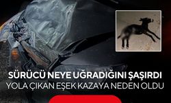 Sürücü neye uğradığını şaşırdı! Yola çıkan eşek kazaya neden oldu