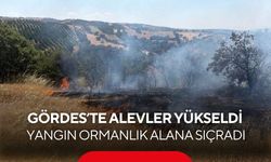 Tarım arazisinde başlayan yangın ormana yayıldı... Havadan ve karadan müdahale sonucu yangın kontrol altına alındı