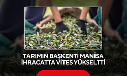 Tarımın başkenti Manisa ihracatta vites yükseltti