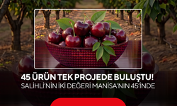 Manisa’nın 45 ürünü tek projede buluştu! Salihli’nin iki değeri Manisa’nın 45’inde