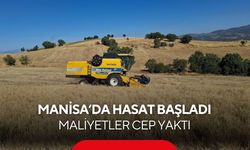 Tarladaki ürün biçerdöver bekliyor! Manisa'da hasat sezonu gecikmeli başladı...