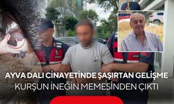 Ayva Dalı Kavgası Cinayetle Bitti! Günler Sonra Ortaya Çıkan Mermi Şaşkına Çevirdi