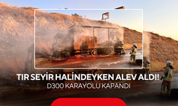 TIR Seyir Halindeyken Alev Aldı! D300 Karayolu Kapandı