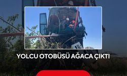 Yolcu otobüsü ağaca çıktı: 2 yaralı