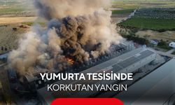 Turgutlu’da yumurta tesisinde korkutan yangın! 8 dönüm alan küle döndü