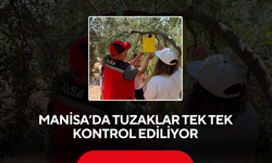 Manisa’da Tuzaklar Tek Tek Kontrol Ediliyor