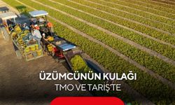 Manisa'da üzümcünün kulağı TMO ve TARİŞ’te
