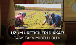 Üzüm Üreticileri Dikkat! TARİŞ Takvimi Belli Oldu