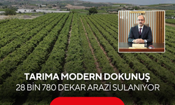 Üreticiye büyük kolaylık! 28 bin 780 dekar arazi modern sulamayla buluştu