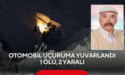 Feci kaza! Otomobil 100 metrelik uçuruma yuvarlandı: 1 ölü, 2 yaralı