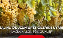 Salihli’de üzüm üreticilerine önemli uyarı: İlaçlama için son günler