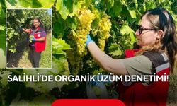 Salihli’de bağlar mercek altında: Üzümlerden numune alındı
