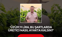 ‘Üzüm 11 lira, bu şartlarda üretici nasıl ayakta kalsın?’