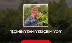 Üreticinin sesi gündem oldu