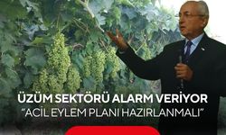 Üzüm Kooperatifi’nden acil çağrı! Üzüm sektörü için eylem planı hazırlansın