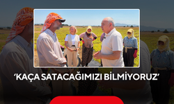 ‘Kesiyoruz ama kaça satacağımızı bilmiyoruz’