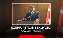 Üzüm Üreticisi Bekliyor… Gözler TMO’da!