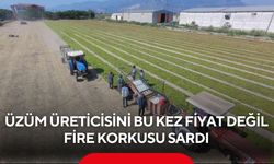 Üzüm üreticisini fire korkusu sardı! Rekolte kadar kayıp endişesi