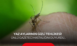 Yaz aylarında tehlike saçıyor: Şiddetli kemik ağrısı ve yüksek ateşle kendini gösteren Dang virüsü nedir?