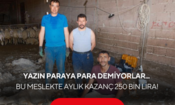 Yazın paraya para demiyorlar... Bu meslekte aylık kazanç 250 bin lira!