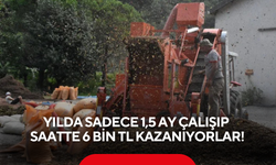 Yılda sadece 1,5 ay çalışıp saatte 6 bin TL kazanıyorlar! Yoğun mesai başladı...