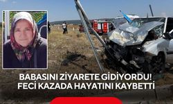 Babasını ziyarete gidiyordu! Feci kazada hayatını kaybetti