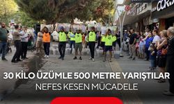 30 kilo üzümle 500 metre yarıştılar! Alaşehir’de nefes kesen mücadele...