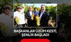 Başkanlar Üzüm Kesti, Şenlik Başladı