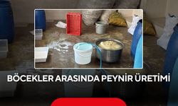Böcekler arasında peynir üretimi: İşletme sahibi duvardan atlayıp kaçtı, 396 bin TL ceza kesildi