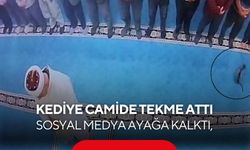 Camide kediye tekme attı! Görüntüler tepki çekti, Başsavcılık harekete geçti...