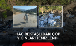 Sektör Medya gündeme taşıdı, 3 kamyon evsel atık çıktı !