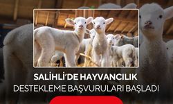 Salihli’de hayvancılık desteği başladı! Son başvuru 1 Aralık