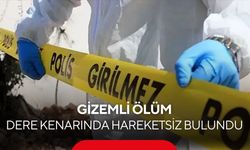 Dere kenarında hareketsiz yatıyordu! Hayatını kaybettiği belirlendi