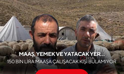 Dolgun maaş ve yeme-içme dahil ama başvurusu yok! Sektörde dev çıkmaz
