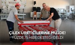 Üreticiler istedi, Büyükşehir yetiştirdi! Çilek tarlalarına yüzde 75 destek...