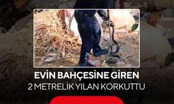 Evin bahçesine giren 2 metrelik yılan korkuttu...