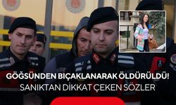 Göğsünden bıçaklanarak öldürüldü! Sanıktan dikkat çeken sözler